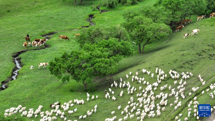 ??????? ?? ???? ???? ??. [6? 14? ?? ??/?? ??: ???]