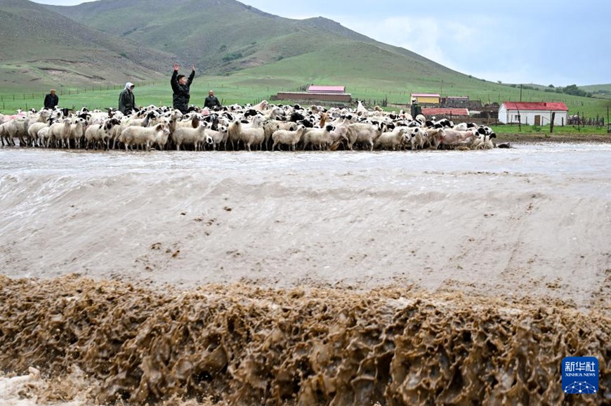 ??????? ?? ??? ???? ?? ?? ??. [6? 13? ??/?? ??: ???]