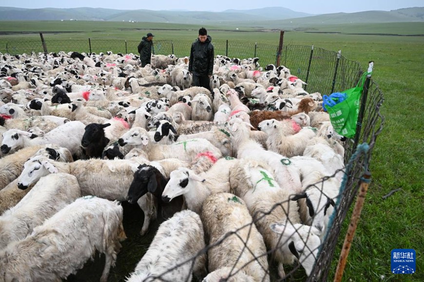 ??????? ?? ??? ?? ??? ?? ?? ?? ??. [6? 15? ??/?? ??: ???]