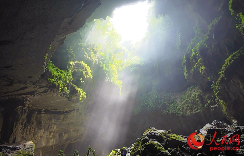 [??] ?? ??? ‘??’ ??, ?? ???? ??