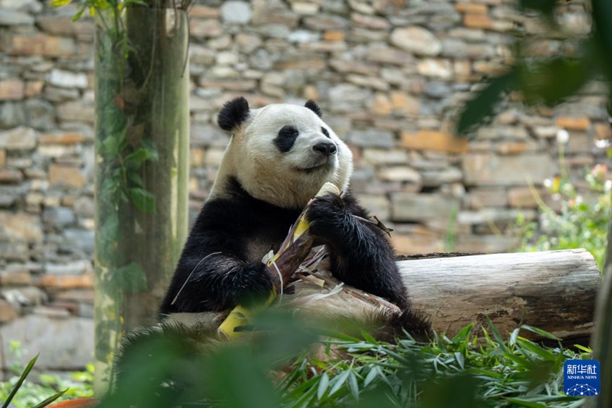 ?????? ???? ??? ?? ??. [7? 17? ??/?? ??: ???]