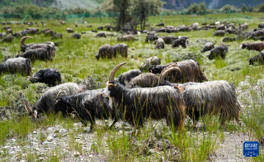 ?? ??, ???? ???? ??? ?? ??