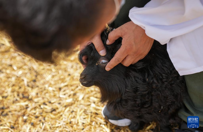 ??? ??? ???? ???? ??? ??? ?? ??? ???? ??. [7? 20? ??/?? ??: ???]