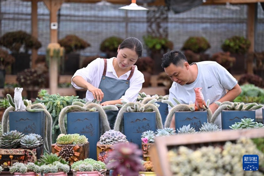 ?? ??? ???, ?? ???? ? ??? ????