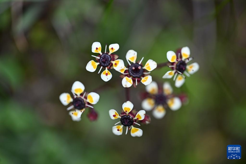 7? 23? ???? ??? ????? ??? ??? [?? ??: ???]