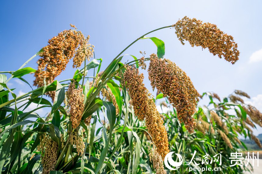 ???? ???, ?? ?? ???…???? ?? ?? ???