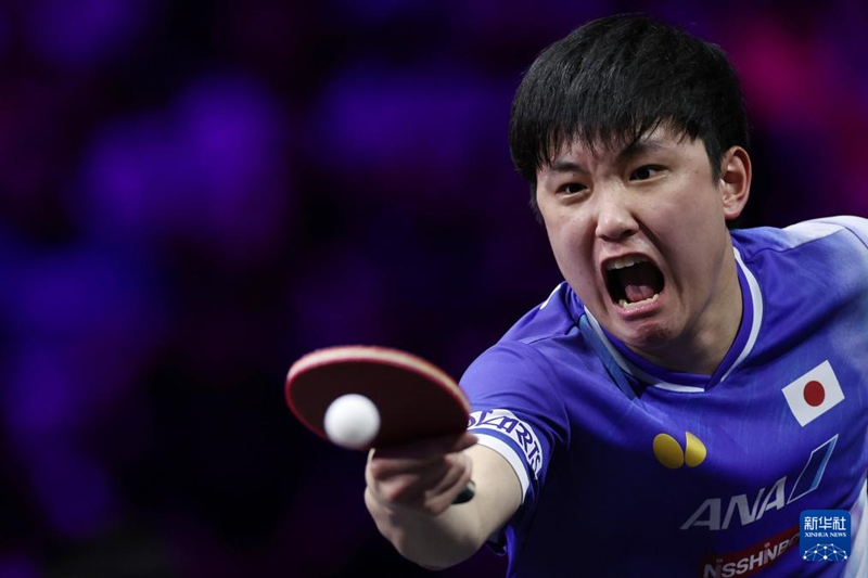 ???? ????? ?? ? ????? ?? [8? 11? ??/?? ??: ???]