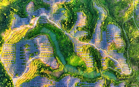 ?? ??, ??? ??? ?? ??? ?? ??