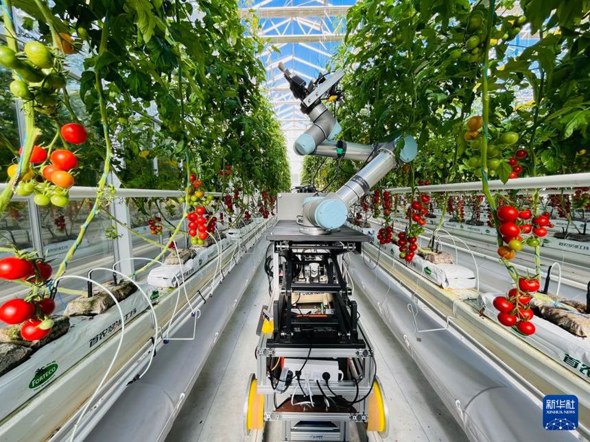 ?? ?? ??? ??? ?? ?? ??