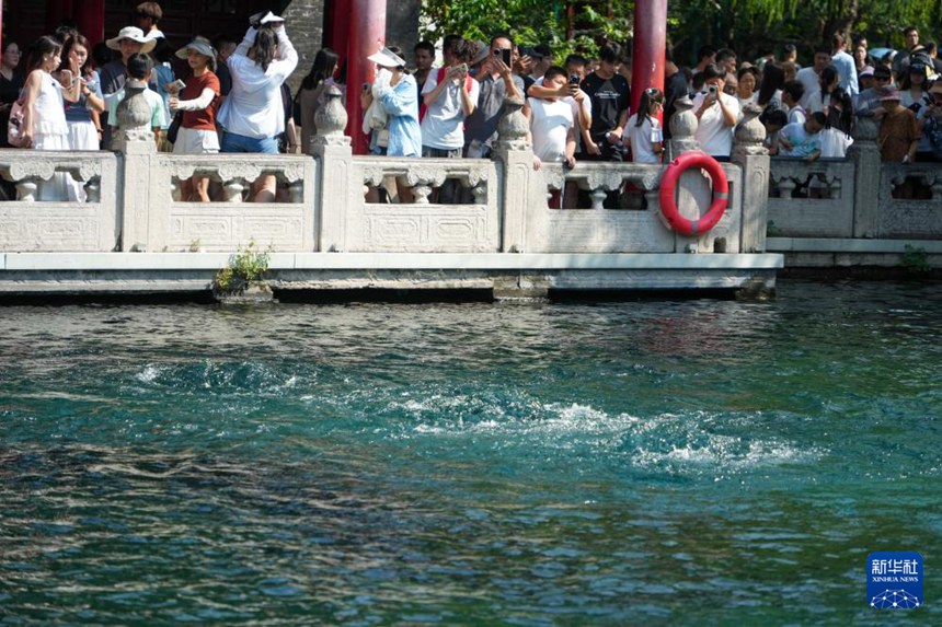 ????? ??????? ???? ??. [8? 22? ??/?? ??: ???]