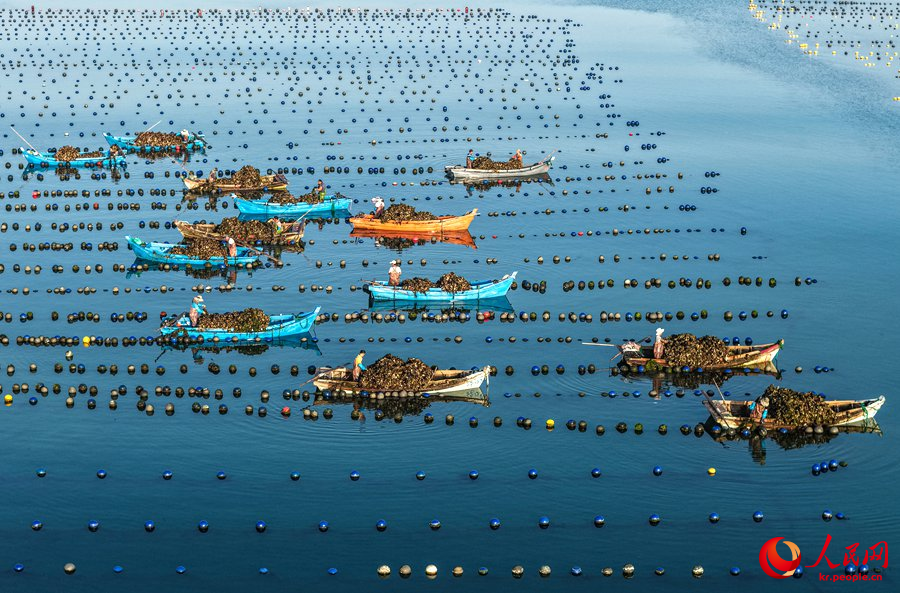 ??? ??? ???? ?? ? ????? ???? ??? ??? ?? ???? ??.