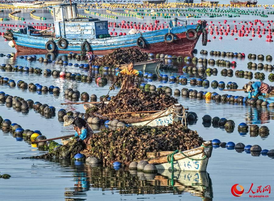 ?????? ?? ?, ?? ?? ??? ??? ????