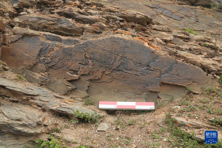 中 ???? ?? ?? ??, ‘??? ? ??’?? ??