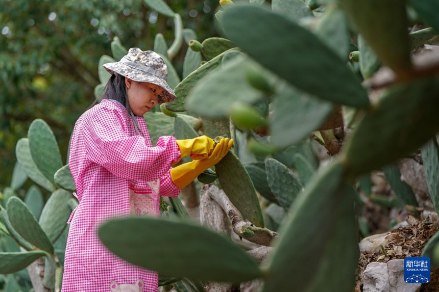 ?? ??? ??? ??? ?? ??. [8? 7? ??/?? ??: ???]