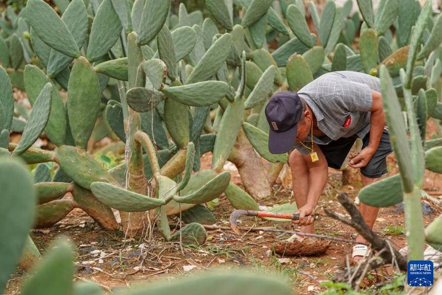 ?? ??? ??? ?????? ???? ??. [8? 7? ??/?? ??: ???]