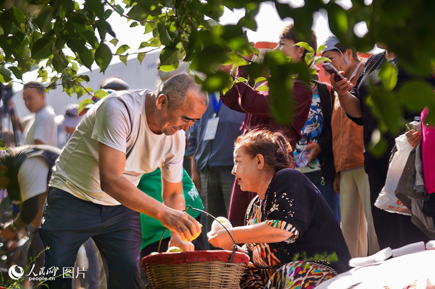 ??(新疆) ???(庫(kù)爾勒)? ???(阿瓦提)? ?? ??? ???? ???? ?? ???? ??.