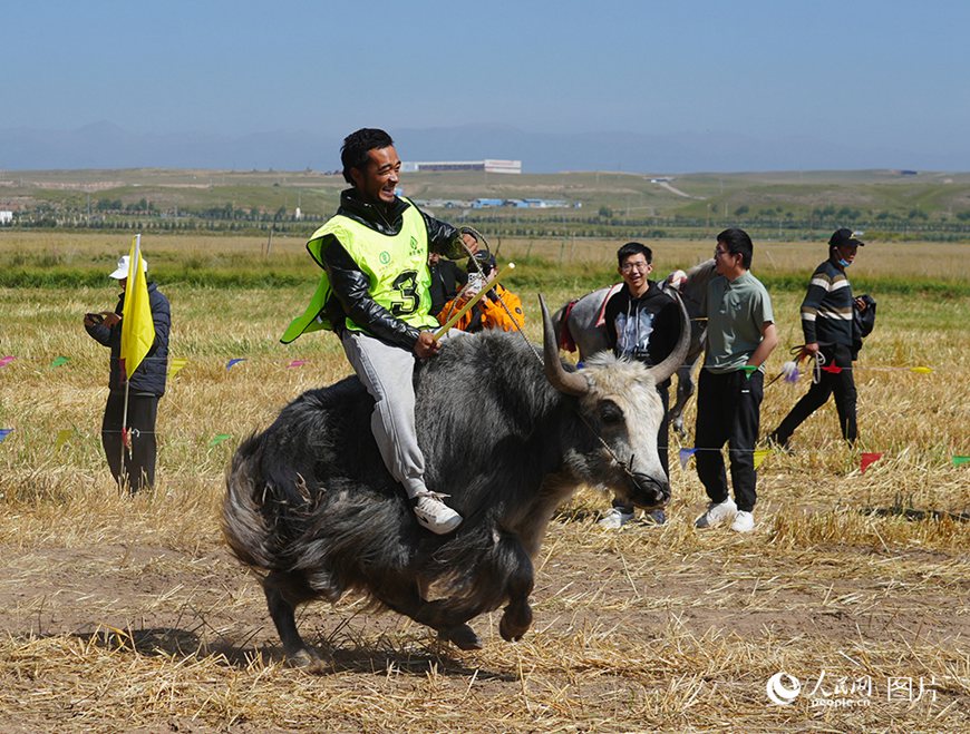 ???(靑海)? ????(海北) ??(藏族, ??)??? 2025 ?? ??? ? ?? ?? ?? ?? ?? ???? ????? ?? ??? ?? ??.