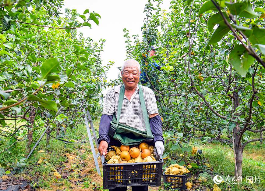 ? ???? ?? ????(雄安新區(qū)) ??(容城)? ??(南張)?? ?? ???(高宇)???? ? ????? ??? ??? ???? ??.