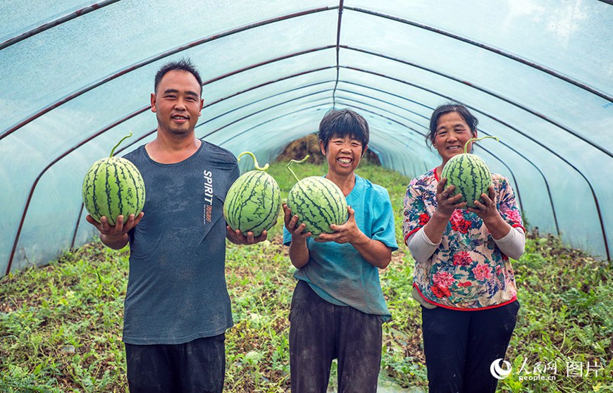 ??(重慶)? ??(銅梁)? ??(虎峰)? ???? ?? ? ??? ???? ??.