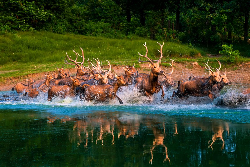 ??? ??? ?? ?? ??? ??? [?? ??: ???]