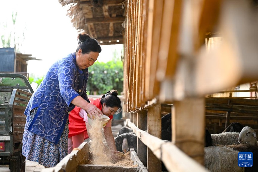 ??? ?? ??? ?????·????(卡麥爾汗·蘇來(lái)曼) ?? ?? ?? ??? ??? ??? ?? ??. [9? 18? ??/?? ??: ???]