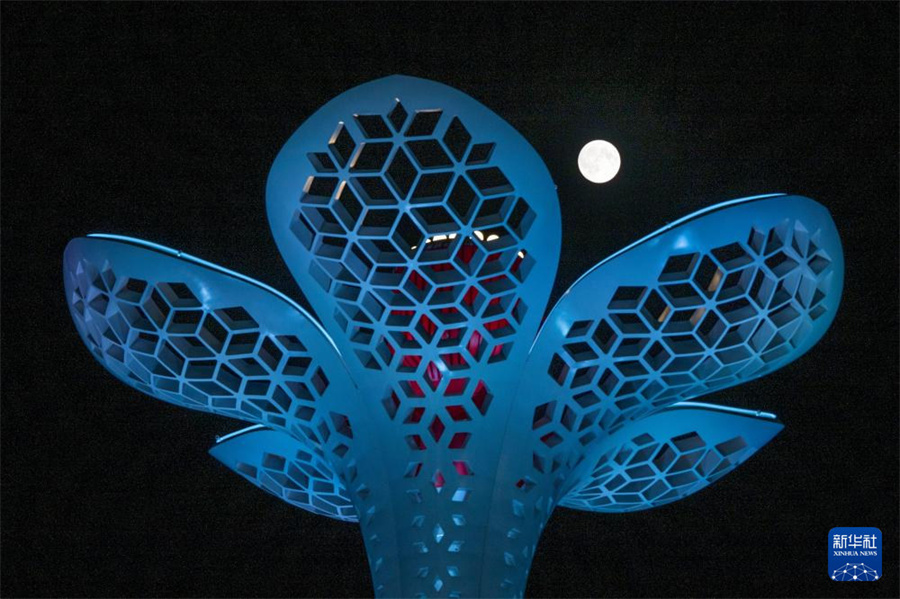 中 ???, ?? ? ? ?? ??