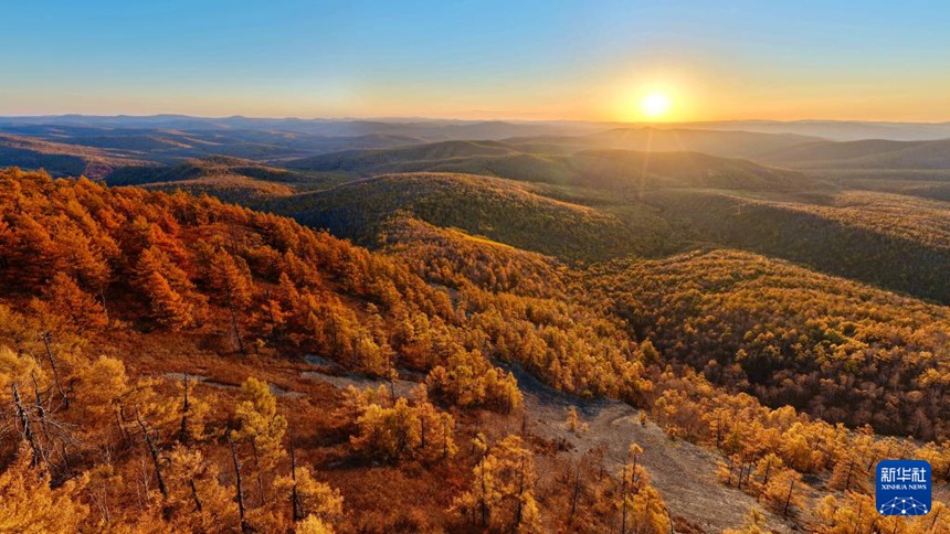 ???? ???? ?? [9? 28? ?? ??/?? ??: ???]