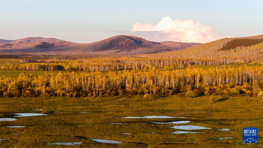 ???? ?? ?? [9? 25? ?? ??/?? ??: ???]