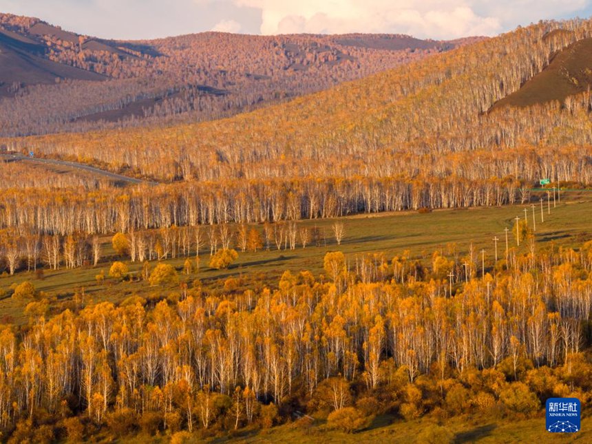 ???? ?? ?? [9? 25? ?? ??/?? ??: ???]