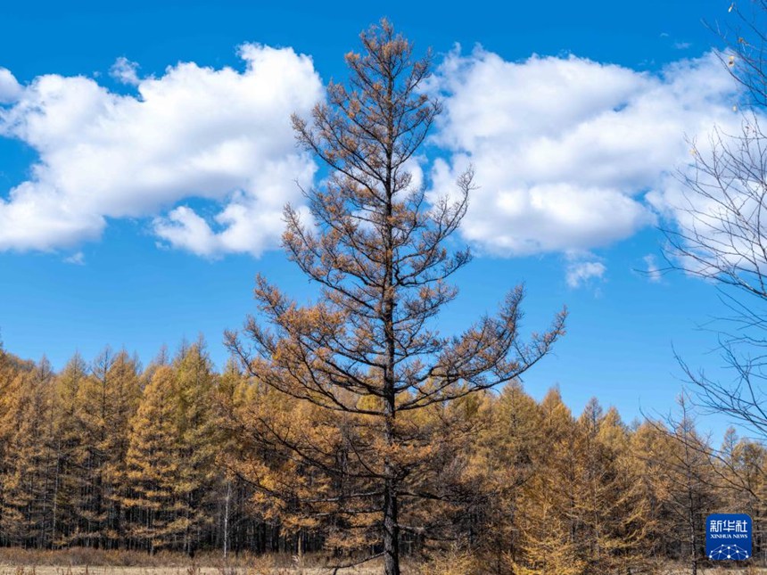 ???? ? [9? 28? ??/?? ??: ???]