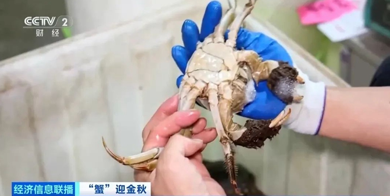 中 ??? 2? ???? ??? ?? ? ??