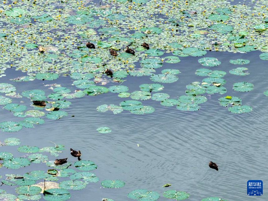 ?? ???? ?????? ?? [9? 26? ?? ??/?? ??: ???]