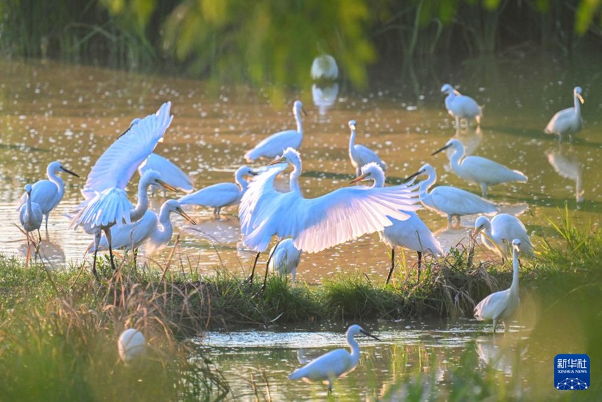 ?? ??, ?? ??? AI ?? ??…‘??? ??’ ????