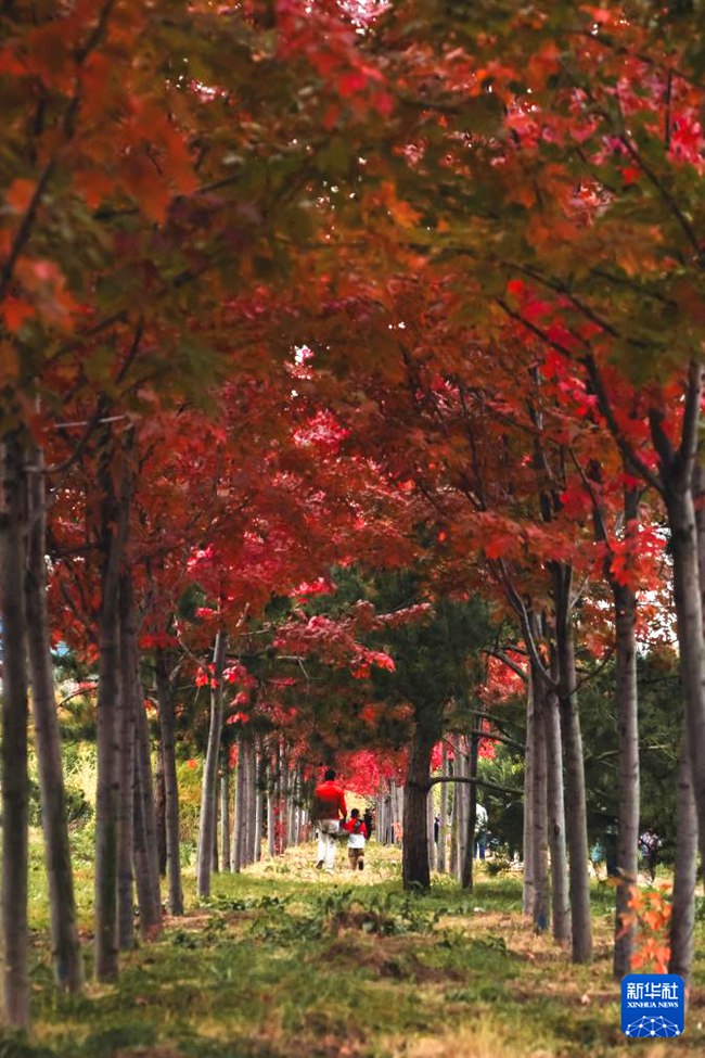 ????? ??????? ?? ??? ???? ??. [10? 12? ??/?? ??: ???]