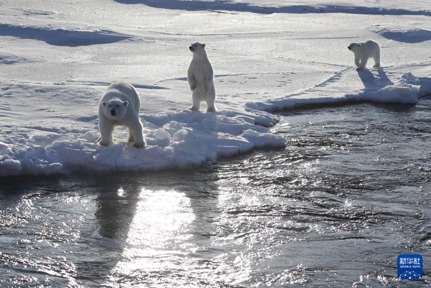 ?? ???? ? ?? ??? ??? ‘?? 2’? ??? ???? ??. [8? 31? ??/?? ??: ???]