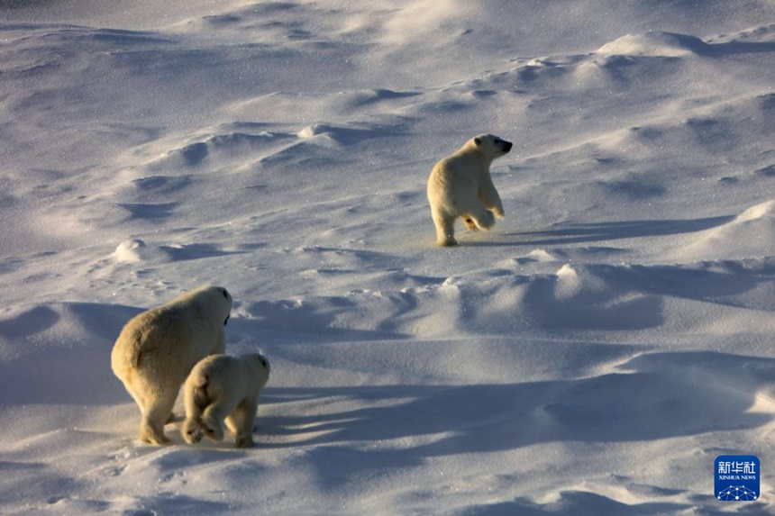 ?? ???? ? ?? ??? ??? ?? ?? ??? ??? ??. [8? 31? ??/?? ??: ???]