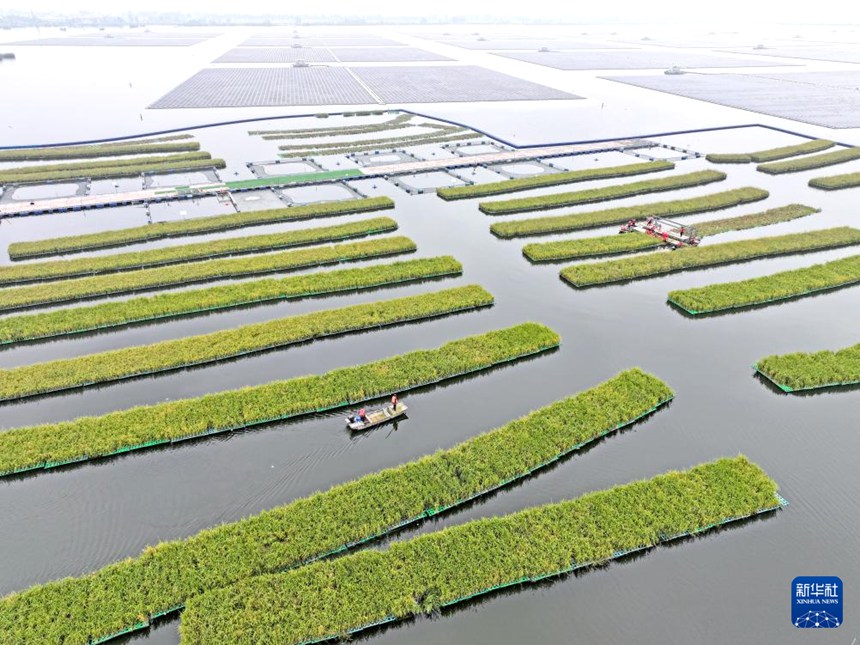 ??? ???, ??? ??? ?? ‘??’