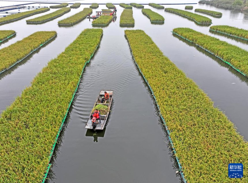 ???? ???? ???? ?? ?? ?? ?? ???? ????? ??? ?? ???? ??. [10? 14? ?? ??/?? ??: ??]