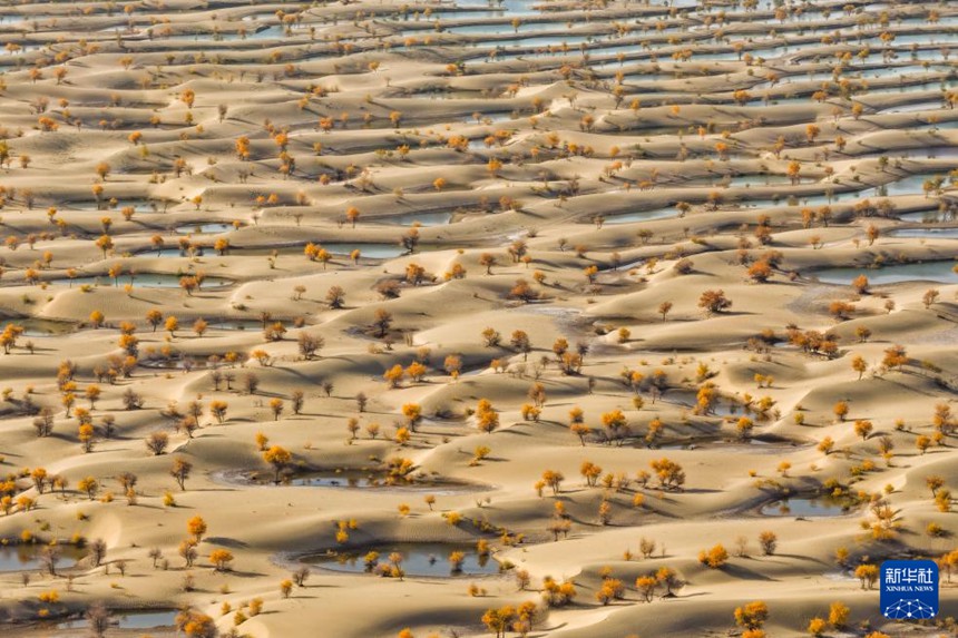 ?? ?? ?? ??? ?????? ?? ?? ???? ? [10? 20? ?? ??/?? ??: ???]