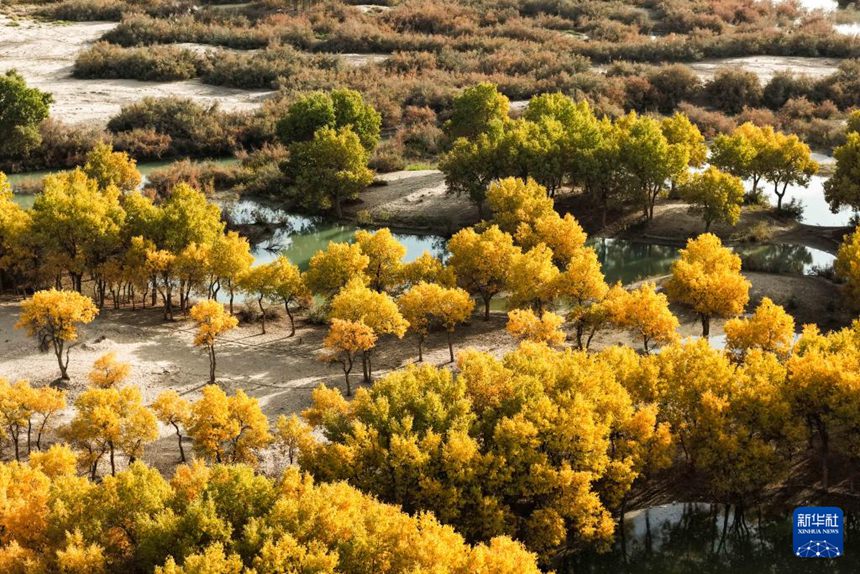 ?? ?? ?? ??? ?? ???? ? ??? [10? 19? ?? ??/?? ??: ???]