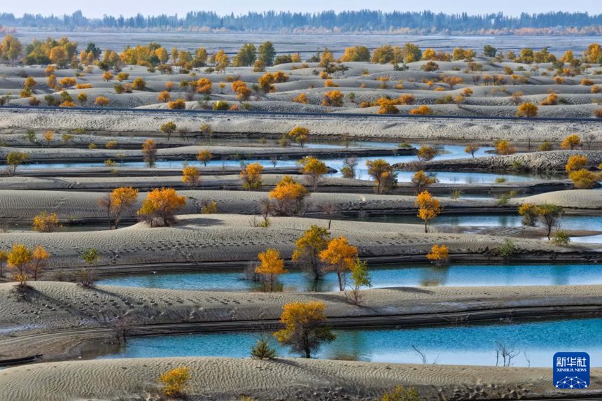 ?? ?? ?? ??? ?????? ?? ?? ???? ? [10? 20? ?? ??/?? ??: ???]