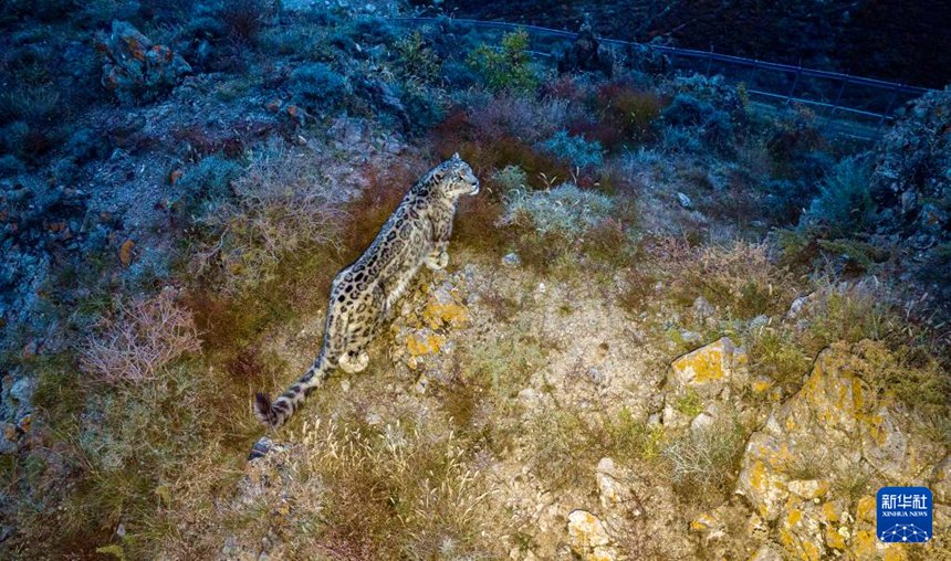 ?? ??? ?? ???? ?? ??