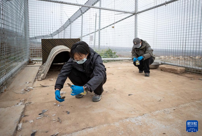 ???? ???? ????? ??? ??? ???? ?? ???? ???? ??. [10? 24? ??/?? ??: ???]