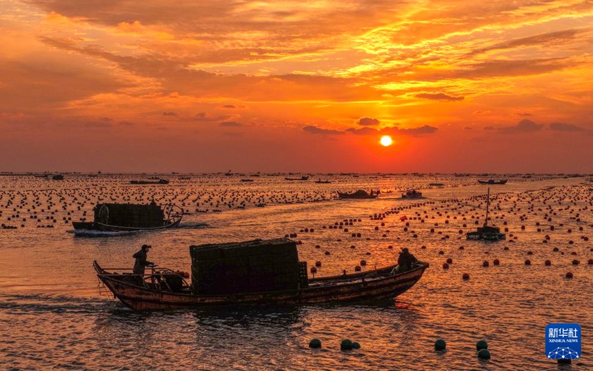 ??? ???? ?? ?? ???? ??? ??? ?????? ??? ??? ??? ???? ??. [10? 24? ?? ??/?? ??: ???]