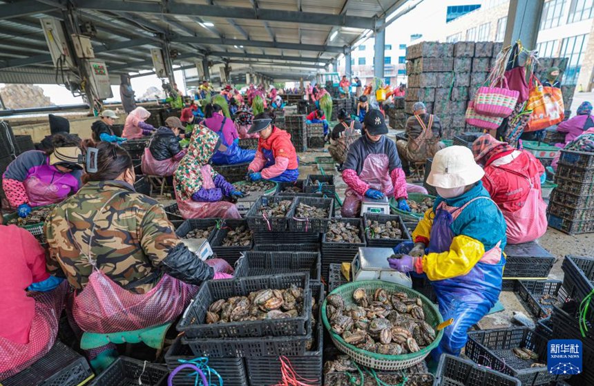 ??? ???? ????? ?????? ??? ???? ???? ??. [10? 24? ??/?? ??: ???]