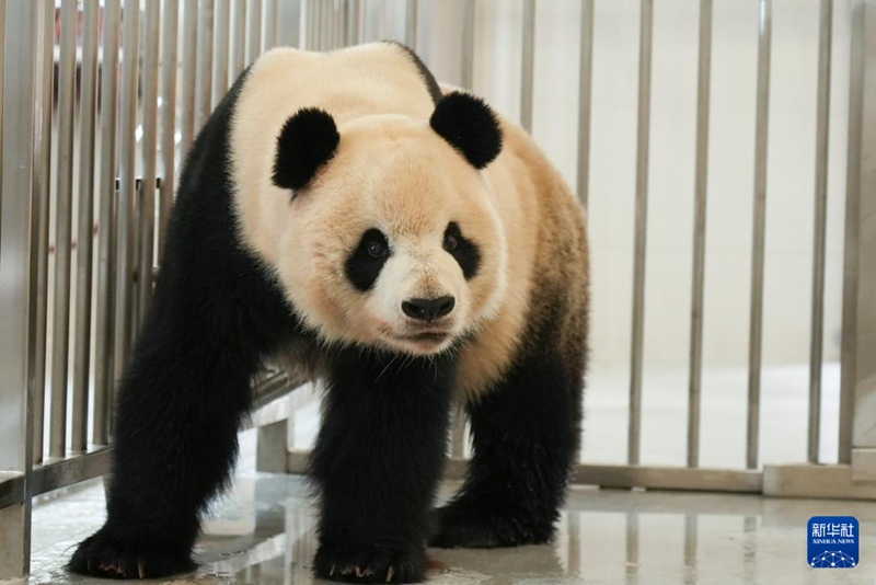 4?, ?? ?????? ?????? ?????? ?????? ‘??(銀柯)’? ? ??? ????.