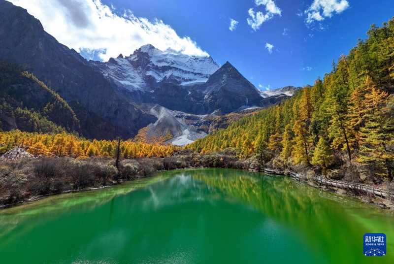 ???? ?? ?? ?? ?? ?? ???? [10? 26? ???? ??/?? ??: ???]