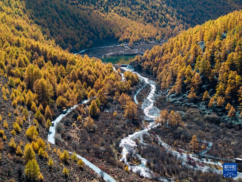 ??? ?? ???? ?? ? ?? ???? ?? [10? 29? ???? ??/?? ??: ???]