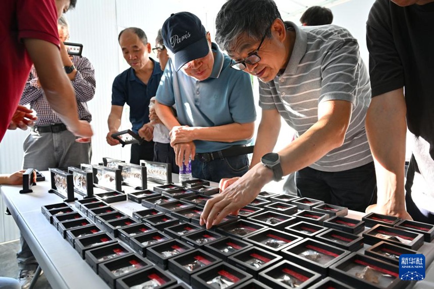 ??? ????? ?? ??? ???? ??? ??? ???? ??. [11? 8? ??/?? ??: ???]