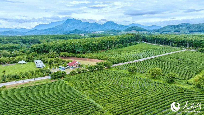 ??? ??? ???(五里路) ? ?? [?? ??: ???]